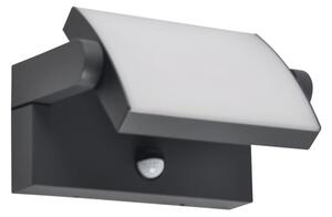Brilagi - LED Aplica de perete pentru exterior ANKLE LED/12W/230V IP65 negru