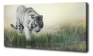 Tablouri tipărite pe pânză tigru alb