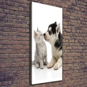 Imprimare tablou canvas Câine și pisică