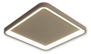 BRILAGI - Plafonieră LED dimerabilă FALCON SLIM LED/50W/230V 50x50 cm bej + telecomandă