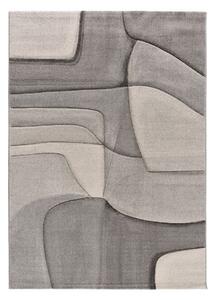 Covor gri 140x200 cm Medel – Universal