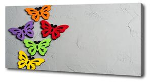 Pictură pe pânză fluturi colorat