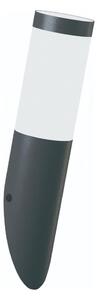 Brilagi - Aplica de perete pentru exterior ELIA 1xE27/20W/230V IP44 antracit
