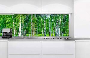 Fototapet pentru bucătărie - dumbravă de mesteceni 180 x 60 cm
