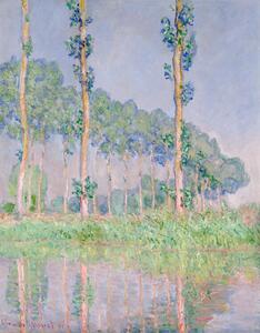 Reproducere Poplars, Pink Effect (1891), Claude Monet