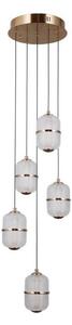 ITALUX PND-34375-5-HBR - Lustră LED suspendată pe cablu ALANI, 5xLED/5,6W/230V, 3000K, auriu