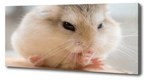 Tablou canvas Hamster