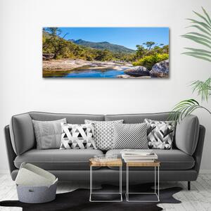 Imprimare tablou canvas Râul în pădure