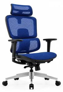Scaun ergonomic Ergo Breeze, cu tetiera 4D și mecanism sincron - W720×D665×H1200-1260mm, blue