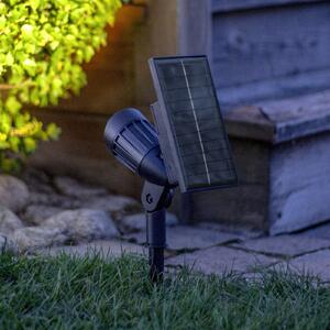 STAR TRADING Spot LED solar Powerspot 19 cm RGBW, 80 lm, negru, cu țăruș de fixare în pământ, Negru, Plastic, Modern, Spot de exterior / vârf de pământ