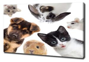 Imprimare tablou canvas Animale de companie