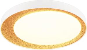 Plafonieră cu LED integrat Aleta 24W 2500 lumeni, lumină albă 2700-6500K, incl. telecomandă, plastic/alb