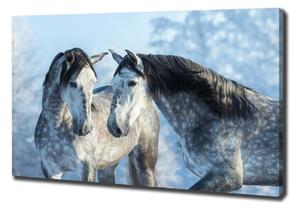 Tablou pe pânză canvas cai gri de iarnă