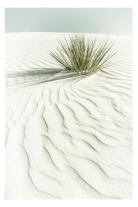 Imprimare de artă Melanie Viola - White sands, (40 x 60 cm)