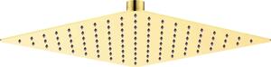 Deante Cascada, cap de dus inox 250x250 mm, auriu lucios, DEA-NAC_Z02K
