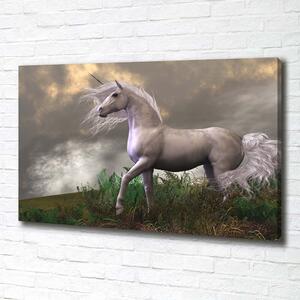 Tablou canvas unicorn gri