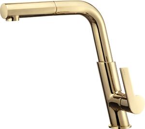 Deante Silia, baterie chiuveta cu spray extractibil, auriu, BQS_Z73M