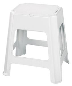 BISK Accesorii Erga, scaun baie cu spatiu depozitare 420x365x425 mm, alb, ERG-90902
