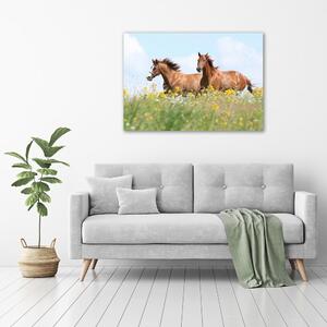 Tablou pe pânză canvas Doi cai în galop