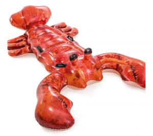 Lobster agățat de cal 213 x 137 cmstrandcikkikk