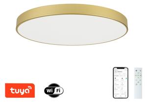 Brilagi - Corp LED dimabil POOL SMART, 128W, 230V, 100 cm, auriu, Wi-Fi Tuya + telecomandă