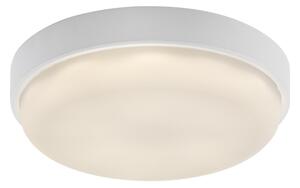 Rabalux 77224 - Plafonieră LED pentru exterior HORT2 LED/14W/230V IP54 albă