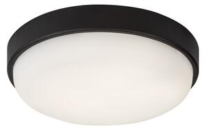 Rabalux 77223 - plafonieră LED de exterior HORT2 LED/14W/230V IP54 neagră