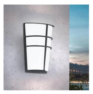 Eglo 94138 - Aplică de perete LED pentru exterior BREGANZO 2xLED/2,5W/230V IP44