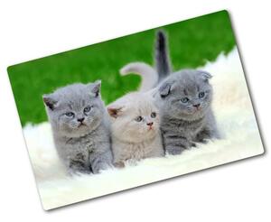 Tocător sticlă Trei pisici pe o pătură