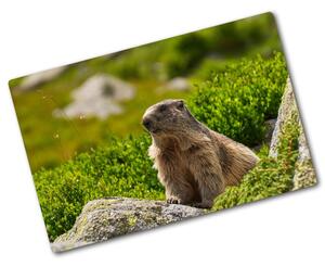 Tocător sticlă marmota