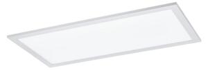 Eglo 55149 - LED RGBW reglabil, panou LED montat pe suprafață/12W/230V 30x60 cm alb +telecomandă