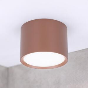 BRILAGI - Corp de iluminat tip spot SMOOTH 1xGX53/15W/230V 60x82 mm maro