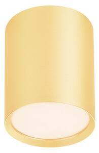 BRILAGI - Corp de iluminat tip spot SMOOTH LONG 1xGX53/15W/230V 60x82 mm 100x82 mm auriu