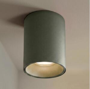 BRILAGI - Spot TRINE 1xGU10/30W/230V verde închis