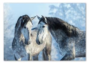Fotografie imprimată pe sticlă cai gri de iarnă