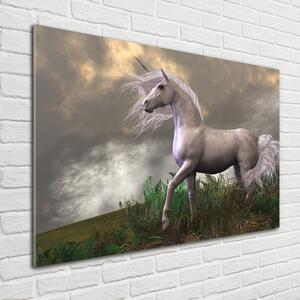 Fotografie imprimată pe sticlă unicorn gri
