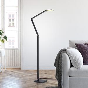 Paul Neuhaus Lampadar LED SAMSKY, gri, înălțime 161 cm, metal, variator tactil, reglabil, Gri, Camera de zi / sufragerie, Aluminiu, Modern