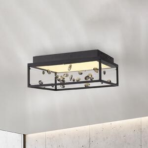 Paul Neuhaus Plafonieră LED SKINA, negru, 40 cm, CCT, cu telecomandă pentru reglarea, reglabil, Negru, Camera de zi / sufragerie, Metal, Modern