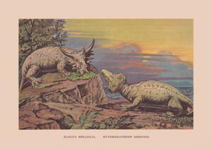 Ilustrație Elginia mirabilis and Hyperodapedon gordoni, chromolithograph,, ZU_09