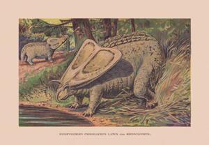 Ilustrație Torosaurus and Monoclonius, Cretaceous period, chromolithograph,, ZU_09