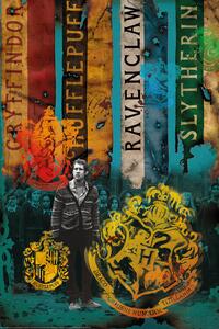 Poster Harry Potter - House Flags