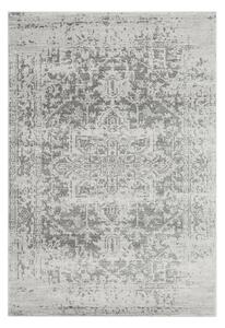 Covor gri 80x150 cm Nova – Asiatic Carpets