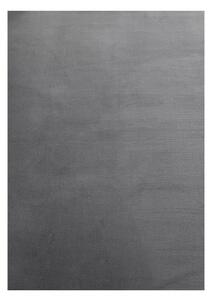 Covor gri lavabil 160x230 cm Sky – Ayyildiz Carpets