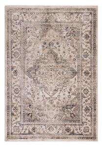 Covor bej 240x330 cm Sovereign – Asiatic Carpets