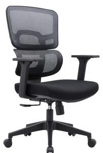 Scaun de birou ergonomic Alvero cu spatar din mesh si reglaje multiple - dimensiuni W720*D640*H1060-1155 mm