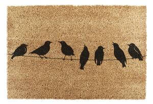 Covoraș de intrare din fibre de nucă de cocos 40x60 cm Birds On a Wire – Artsy Doormats