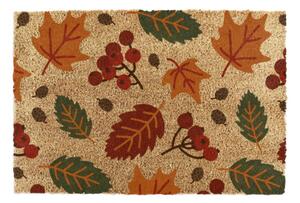 Covoraș de intrare din fibre de nucă de cocos 40x60 cm Autumn Leaves – Artsy Doormats