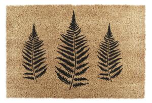 Covoraș de intrare din fibre de nucă de cocos 40x60 cm Fern Leaf – Artsy Doormats