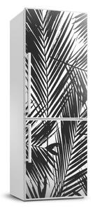 Foto Autocolant pentru piele al frigiderului frunze de palmier