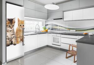 Autocolant frigider acasă Gri și roșu pisică